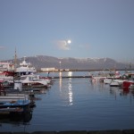 vieux port de reykjavik