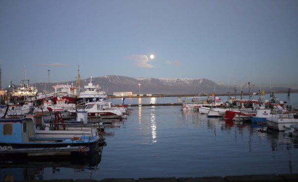 vieux port de reykjavik