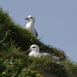 Snæfellsnes