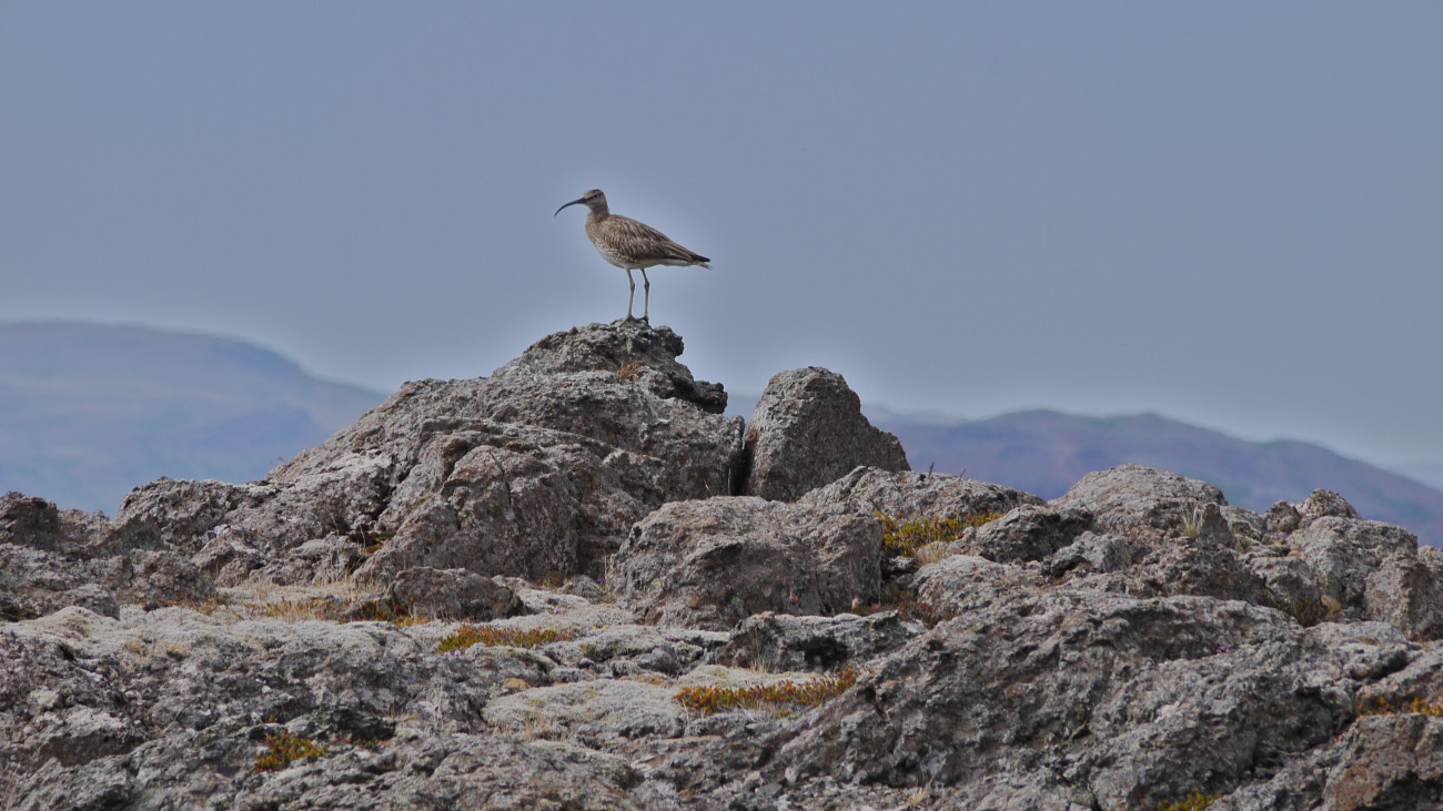 photos islande