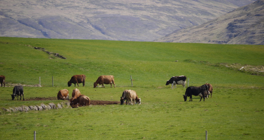 développement durable islande