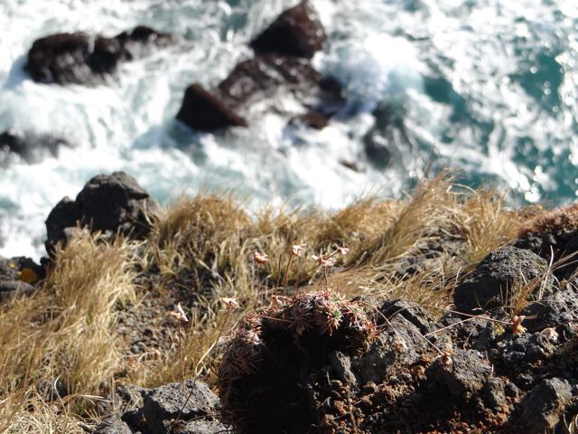 falaise islande
